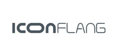 i控ICONFLANGU盘标志logo设计,品牌设计vi策划