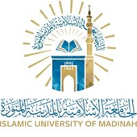 麦地那伊斯兰大学logo设计,标志,vi设计