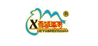 雪域圣果红枣标志logo设计,品牌设计vi策划