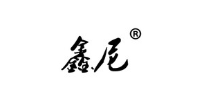 鑫尼U盘标志logo设计,品牌设计vi策划