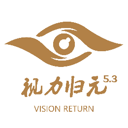 视力归元教育培训标志logo设计,品牌设计vi策划