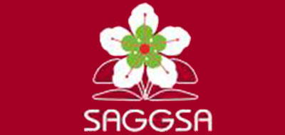 天姿国色saggsa花洒标志logo设计,品牌设计vi策划