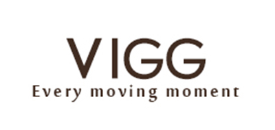 vigg钻戒标志logo设计,品牌设计vi策划
