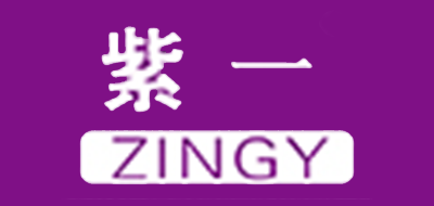 紫一ZINGY益生菌标志logo设计,品牌设计vi策划