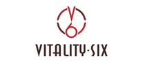 VITALITYSIX银饰标志logo设计,品牌设计vi策划
