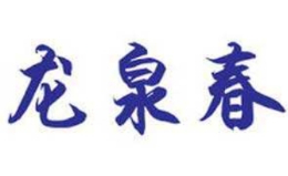 龙泉春白酒标志logo设计,品牌设计vi策划