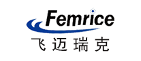 飞迈瑞克Femrice上网卡标志logo设计,品牌设计vi策划