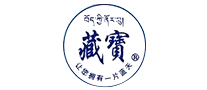 藏宝冬虫夏草标志logo设计,品牌设计vi策划