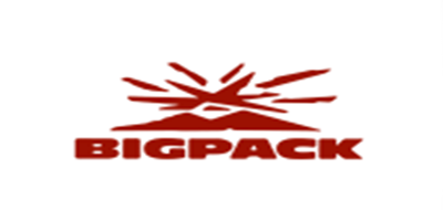 派格Big pack跑鞋标志logo设计,品牌设计vi策划