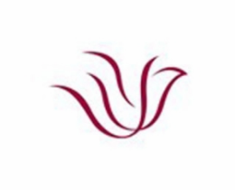 小白鸽舞蹈艺术学院标志logo设计,品牌设计vi策划