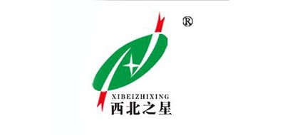 西北之星红枣标志logo设计,品牌设计vi策划