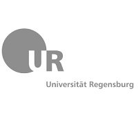 雷根斯堡大学logo设计,标志,vi设计