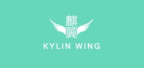 麒翼平板電腦標(biāo)志logo設(shè)計,品牌設(shè)計vi策劃