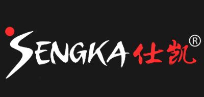 仕凯SENGKA动感单车标志logo设计,品牌设计vi策划
