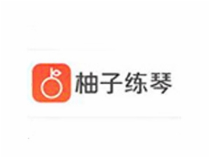柚子练琴音乐培训标志logo设计,品牌设计vi策划