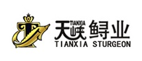 天峽TIANXIA海鮮標志logo設計,品牌設計vi策劃