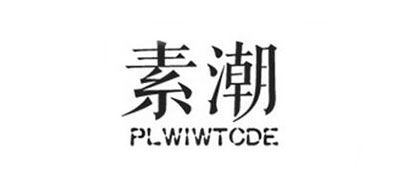素潮PLWIWTCDE女装标志logo设计,品牌设计vi策划
