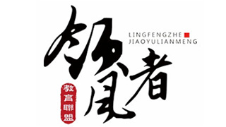 领风者跆拳道跆拳道标志logo设计,品牌设计vi策划