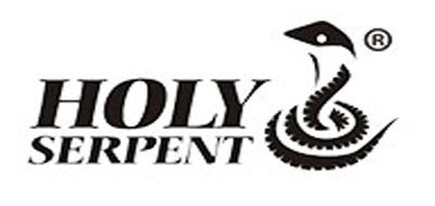 蛇圣HOLY SERPENT電腦標(biāo)志logo設(shè)計(jì),品牌設(shè)計(jì)vi策劃