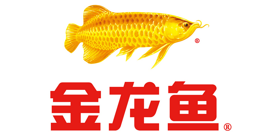 金龙鱼茶油标志logo设计,品牌设计vi策划