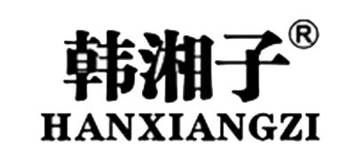 韩湘子电脑标志logo设计,品牌设计vi策划