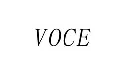 VOCE粉底液标志logo设计,品牌设计vi策划