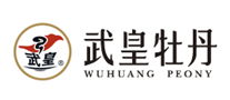 武皇牡丹花茶标志logo设计,品牌设计vi策划