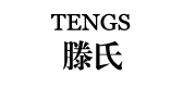 滕氏tengs平衡車標志logo設計,品牌設計vi策劃