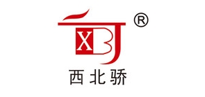 西北驕零食標(biāo)志logo設(shè)計(jì),品牌設(shè)計(jì)vi策劃