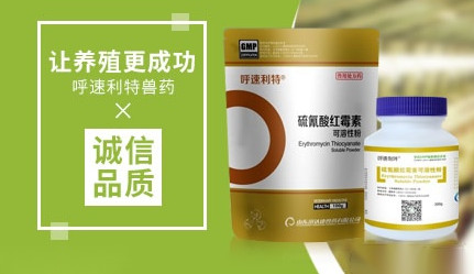 呼速利特