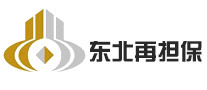 东北再担保融资担保标志logo设计,品牌设计vi策划