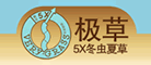 极草冬虫夏草标志logo设计,品牌设计vi策划