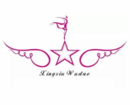 星秀舞蹈教育培训标志logo设计,品牌设计vi策划
