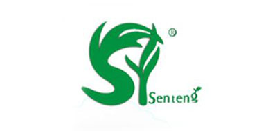 SENTENG平衡车标志logo设计,品牌设计vi策划