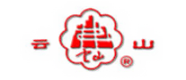 云山汽车电机标志logo设计,品牌设计vi策划