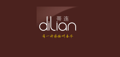 DILIAN平板电脑标志logo设计,品牌设计vi策划
