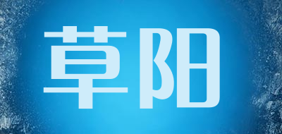 草陽(yáng)箱包標(biāo)志logo設(shè)計(jì),品牌設(shè)計(jì)vi策劃