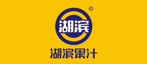 湖濱果汁果汁標志logo設計,品牌設計vi策劃