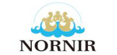 诺伦NORNIR矿泉水标志logo设计,品牌设计vi策划