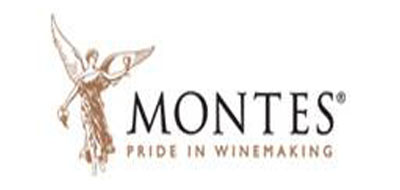 蒙特斯montes红酒标志logo设计,品牌设计vi策划