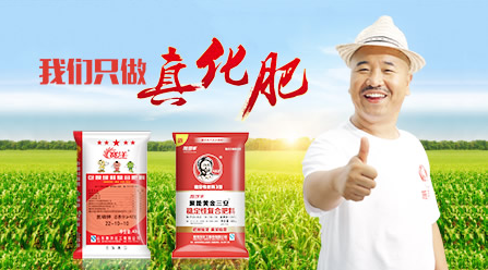 施可丰