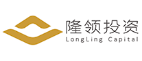 隆领投资网游运营商标志logo设计,品牌设计vi策划