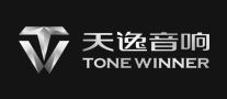 ToneWinner天逸功放机标志logo设计,品牌设计vi策划