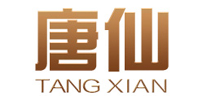 唐仙电陶炉标志logo设计,品牌设计vi策划