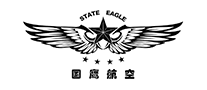 国鹰航空无人机标志logo设计,品牌设计vi策划