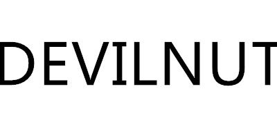 DEVILNUT女装标志logo设计,品牌设计vi策划