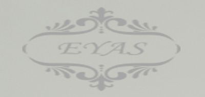 EYAS衬衣标志logo设计,品牌设计vi策划