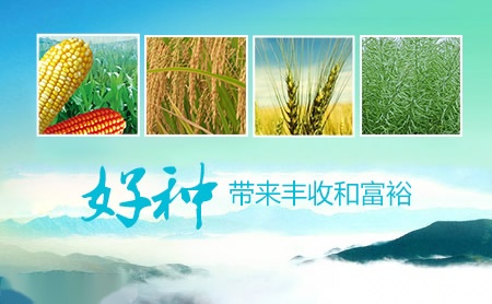 重庆建工