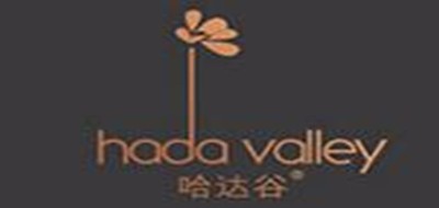 哈达谷HADAVALLEY蜂蜜标志logo设计,品牌设计vi策划