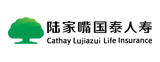 陆家嘴国泰人寿保险logo设计含义,品牌vi设计介绍